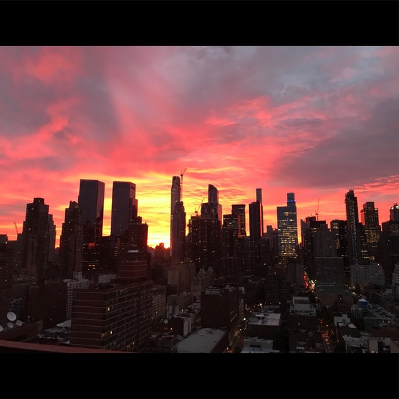 Meet your Posher, Holly - Picture 6 of 8